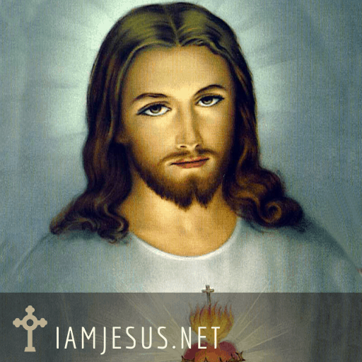 Grieving with Jesus and comforting him in a Holy Hour is a meditative prayer about interceding for souls who don't believe in Jesus or love him.