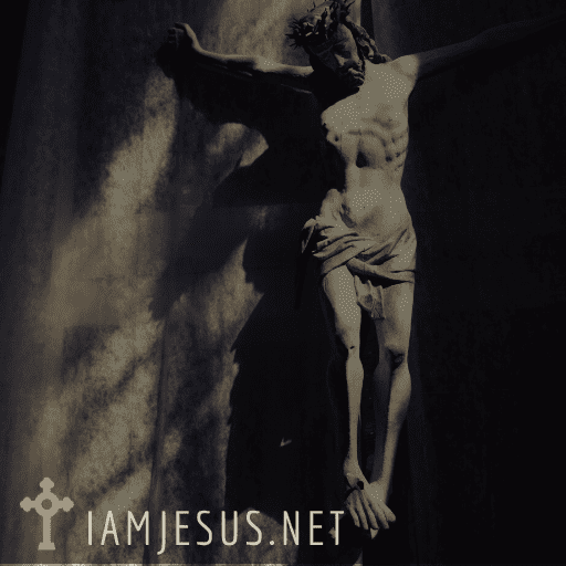 Divine Will of God is drenched in Love The Gift of Suffering with Christ