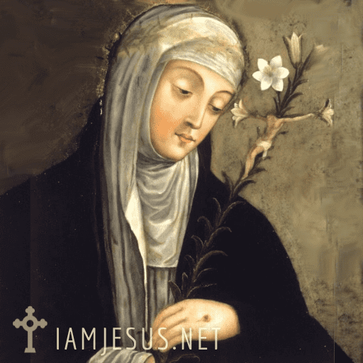 St. Catherine Of Siena, Setting The World On Fire In The Midst Of Plague And War mystical saints who have experienced mystical heart pangs, known as transverberation, in their lives