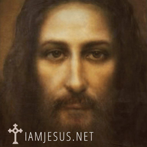 I am Jesus the 7 I Am statements of Jesus. Jesus says: I Am the Bread of Life (6:35), I Am the Light of the World (8:12), I Am the Gate (10:7), I Am the Good Shepherd (10:11, 14), I Am the Resurrection and the Life (11:25), I Am the Way the Truth and the Life (14:6) and I Am the True Vine (15:1). The Holy Face of Jesus