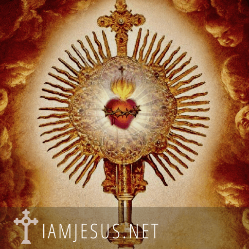 The Chaplet of the Sacred Heart of Jesus will help you grow a deeper love for Jesus. The Sacred Heart Chaplet is a powerful Eucharistic prayer.