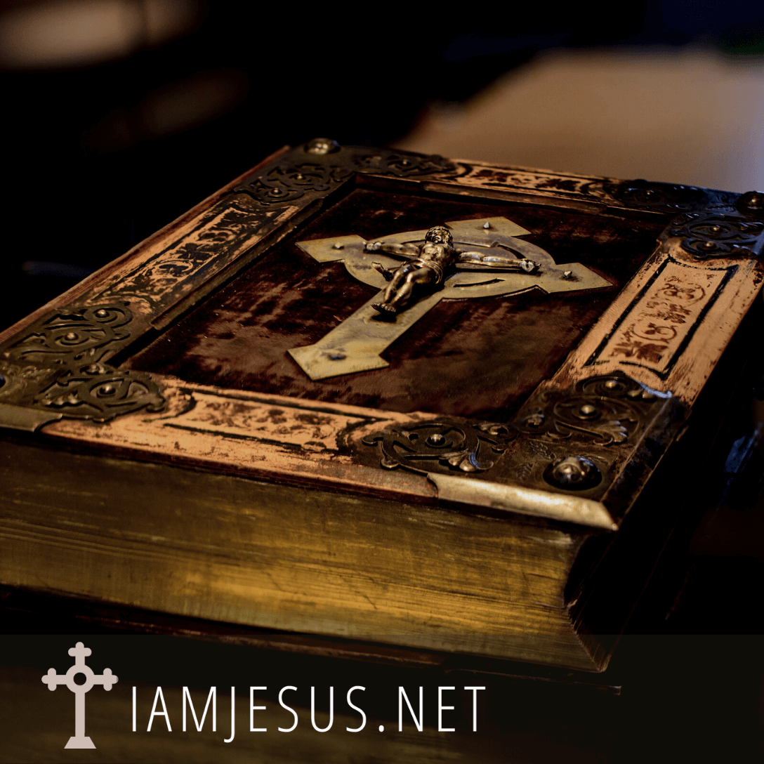 Meditate on the daily readings of the Mass in the Catholic church prayer app website