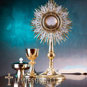 Need holy hour adoration prayers but forgot your prayer books? Use our holy hour adoration prayers page designed for mobile phones on airplane mode, and pray!