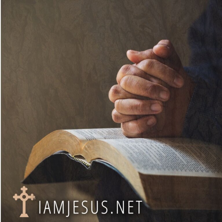 Thank you for Joining Us in Praying Daily Lenten Reflections lectio divina divine reading