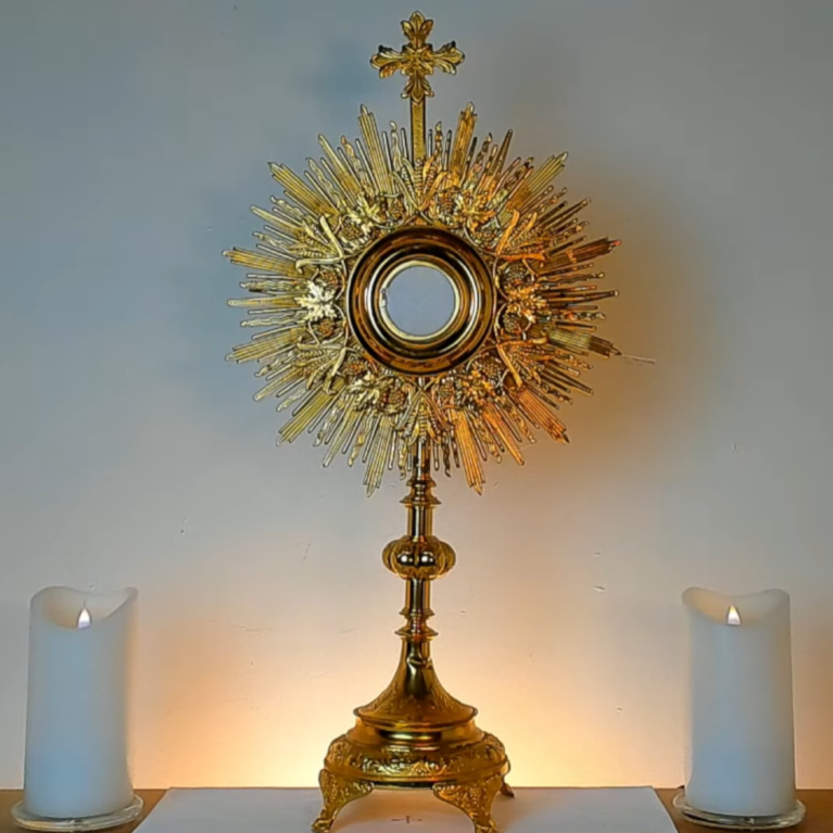 Join livestream Eucharistic adoration when unable adore Jesus in Eucharistic adoration in person. Experience peace. Grow closer to Christ. Receive grace.