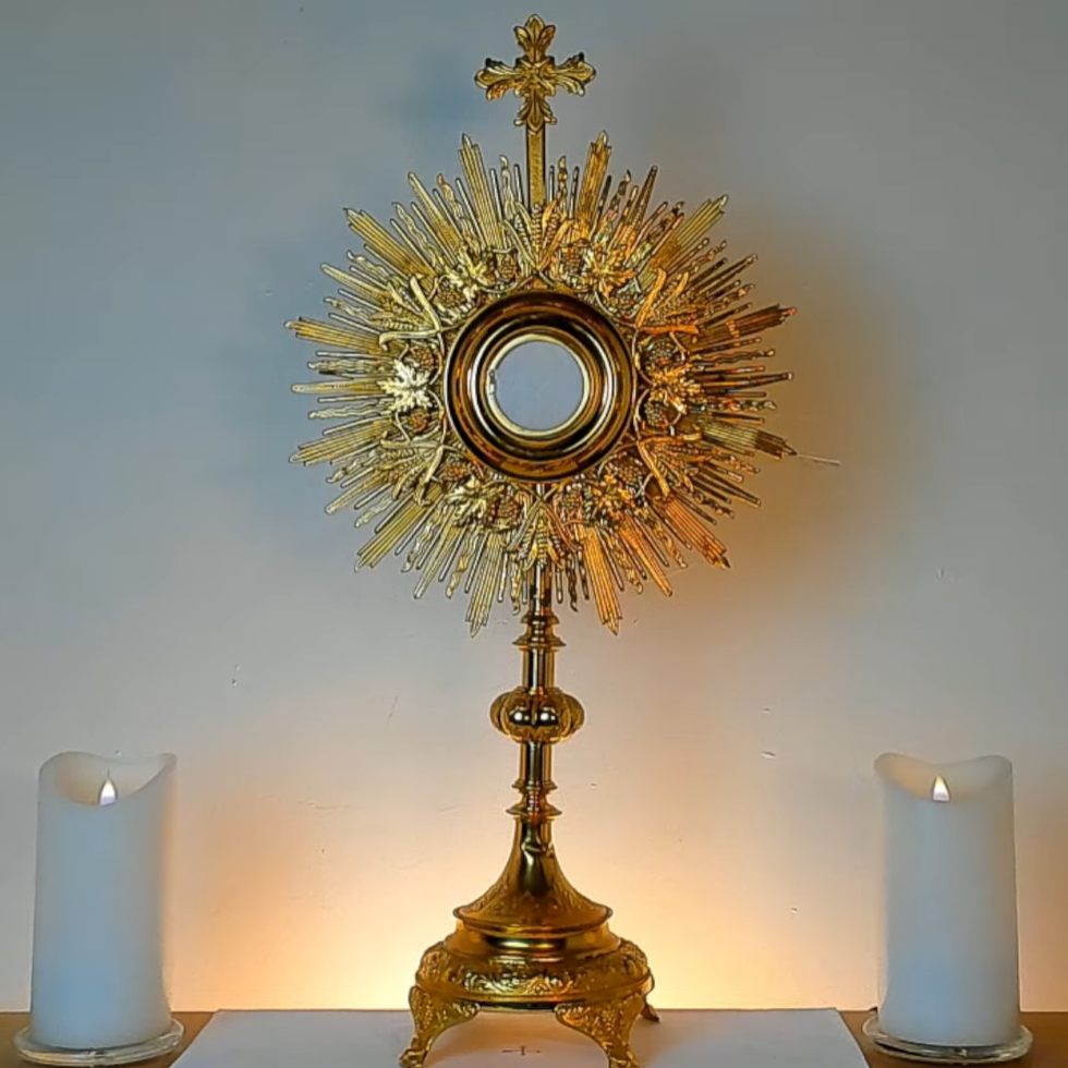 Join livestream Eucharistic adoration when unable adore Jesus in Eucharistic adoration in person. Experience peace. Grow closer to Christ. Receive grace.