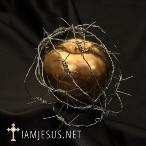 Overcome my jealous heart by choosing charitable deeds i am jesus Overcome my Jealous Heart by Choosing Charitable Deeds the virtue of Charity over the sin of envy
