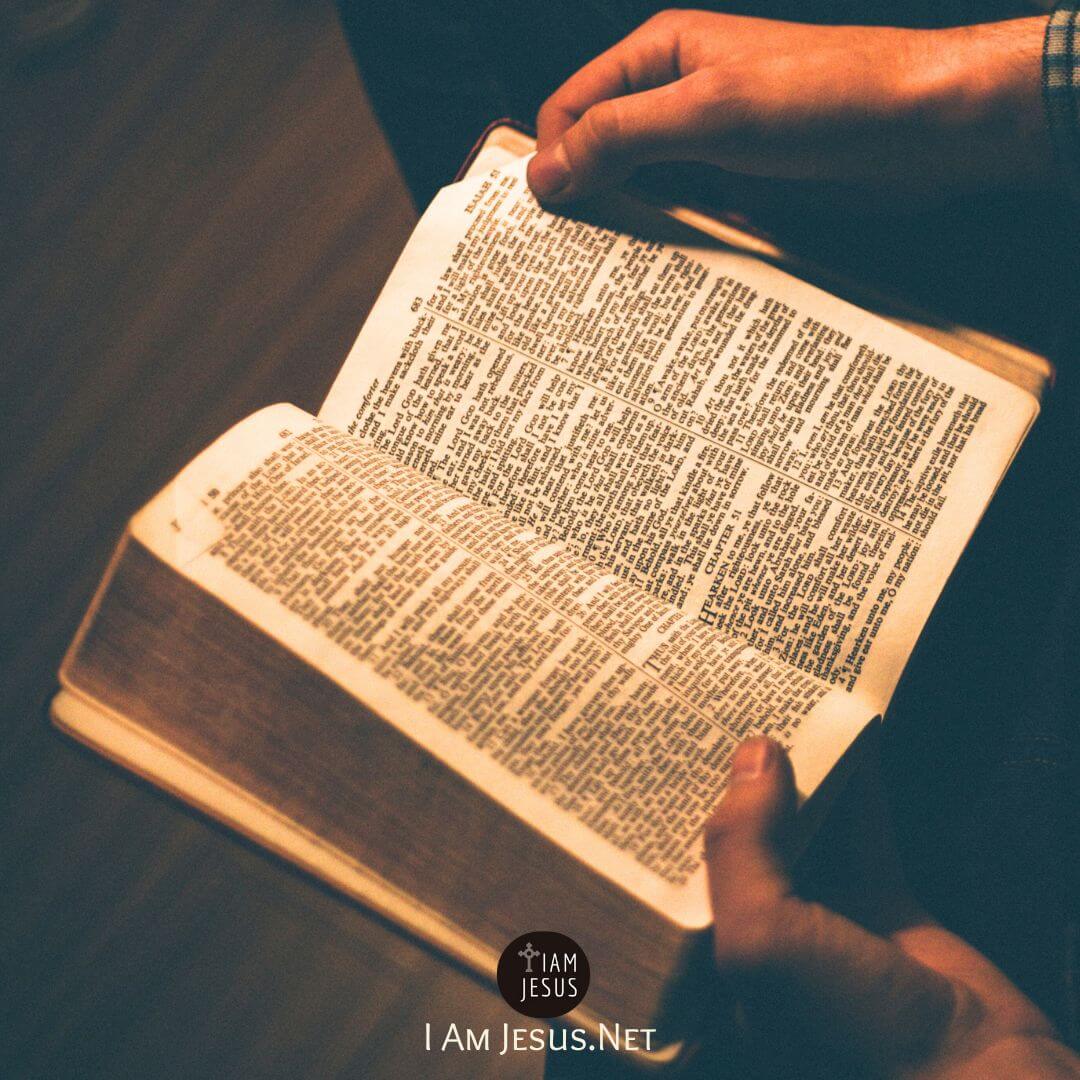 Introducing the Mental Prayer Habits of 6 Catholic Saints. Discover how mental prayer habits of 6 Catholic saints deepened their faith. Learn how mental prayer and lectio divina can help you grow closer to Christ, too.