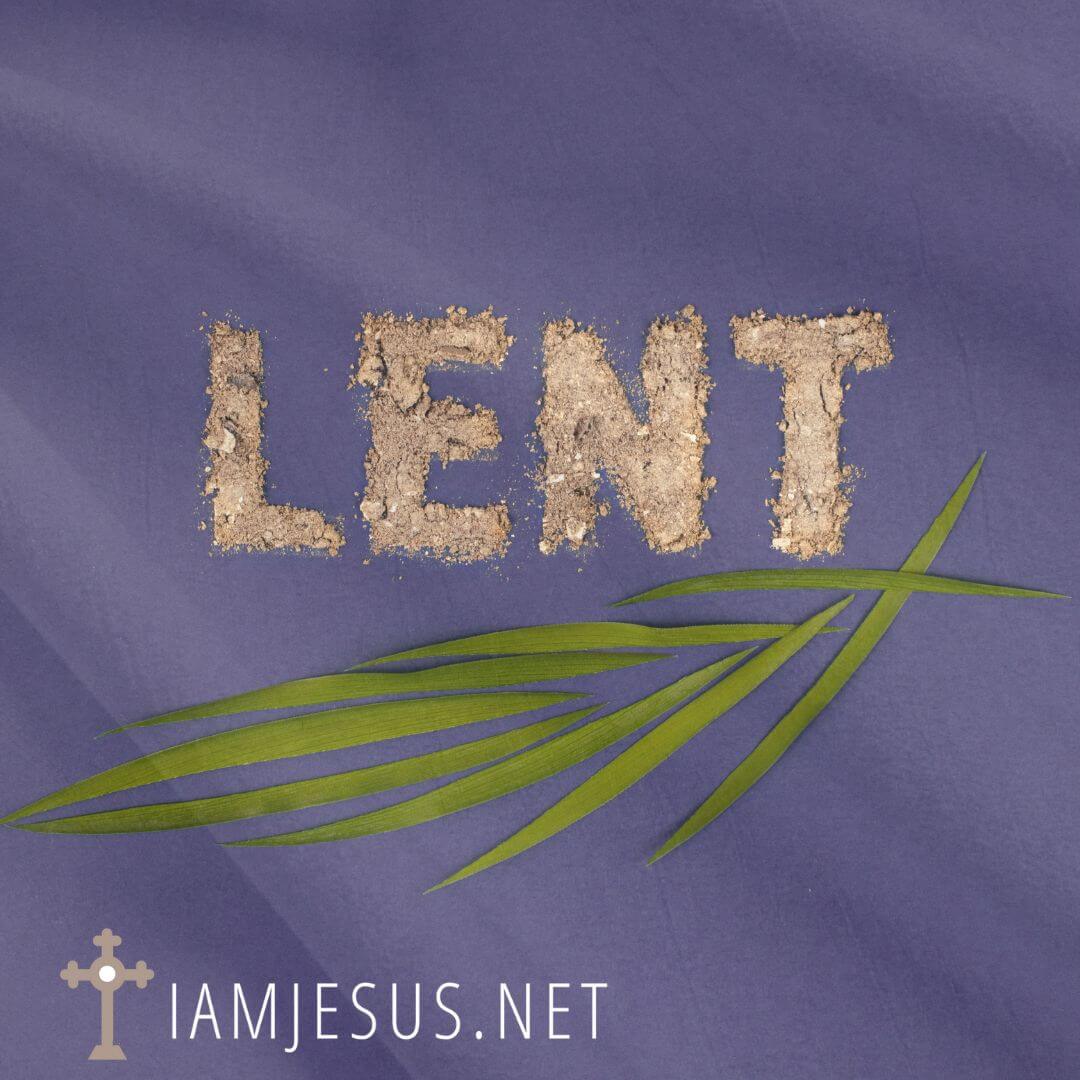 Practice mental prayer this Lent using our list of all our daily Lenten Mass Meditations in both Year I and Year II cycles.
