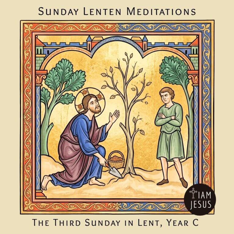 Merciful Jesus let me grow and bear good fruit Third Sunday of Lent, Year C. God is patient with our barrenness, tending us gently so we might finally bear good fruit.