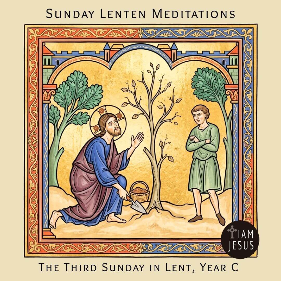 Merciful Jesus let me grow and bear good fruit Third Sunday of Lent, Year C. God is patient with our barrenness, tending us gently so we might finally bear good fruit.
